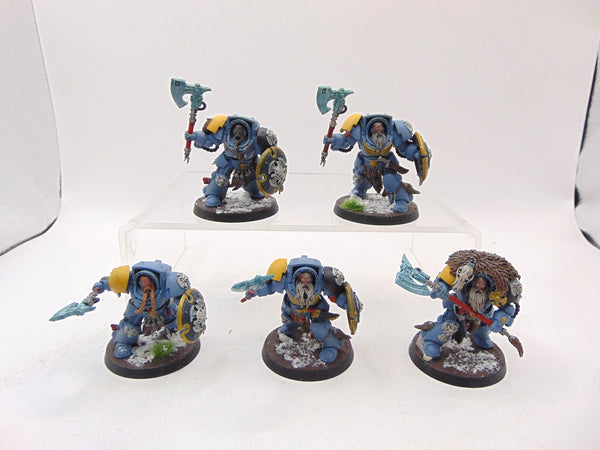 Wolf Guard Terminators