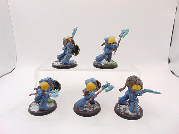 Wolf Guard Terminators