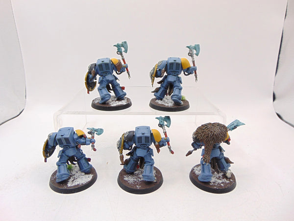 Wolf Guard Terminators