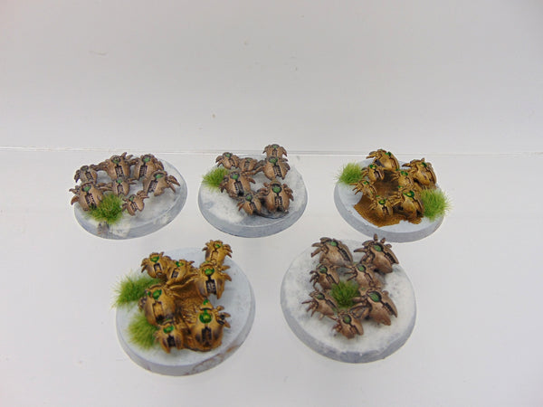 Canoptek Scarab Swarms