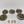 Canoptek Scarab Swarms