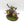 Tuskboss on Maw-grunta