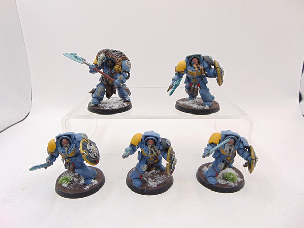 Wolf Guard Terminators