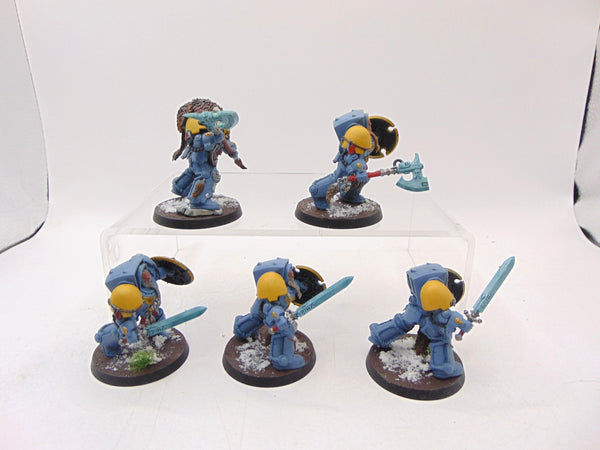 Wolf Guard Terminators