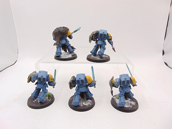 Wolf Guard Terminators