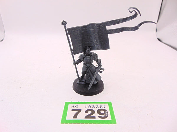 Knight Vexillor with Banner of Apotheosis