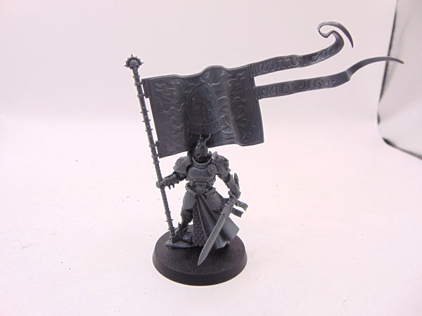 Knight Vexillor with Banner of Apotheosis