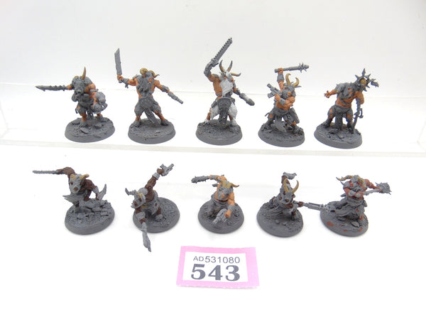 Fellgor Beastmen
