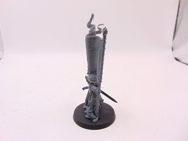 Knight Vexillor with Banner of Apotheosis