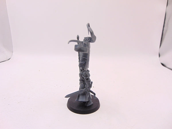 Knight Vexillor with Banner of Apotheosis