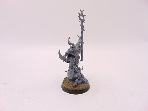 Grey Seer