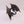 Black Dragon