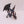 Black Dragon