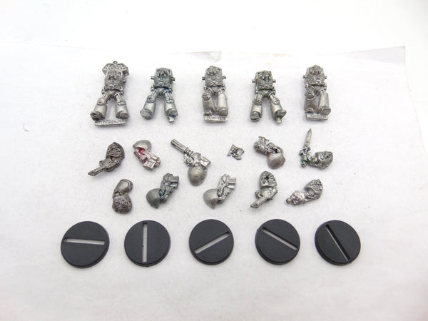 Terminator Squad