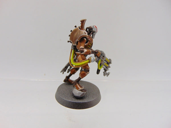 Royal Warden