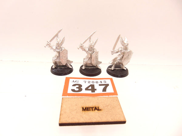Swan Knights of Dol Amroth