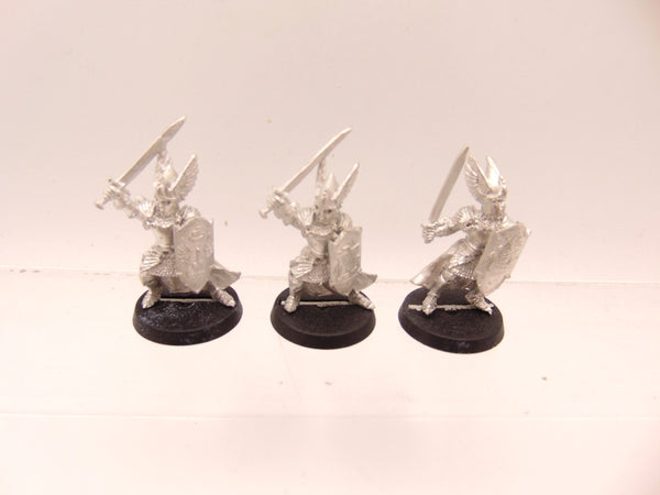 Swan Knights of Dol Amroth