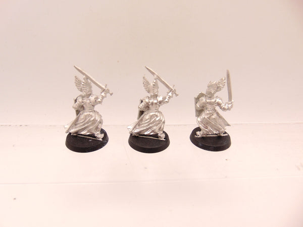 Swan Knights of Dol Amroth