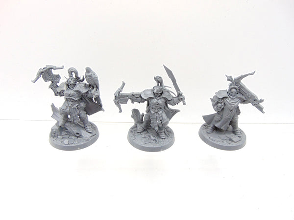 The Farstriders