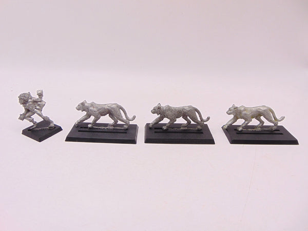 Beast Keeper & Swift Forest Cats