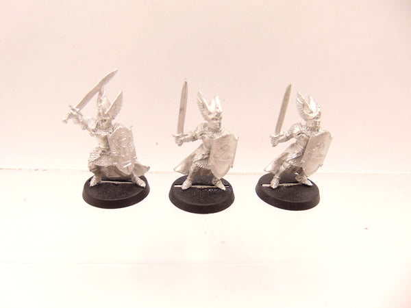 Swan Knights of Dol Amroth