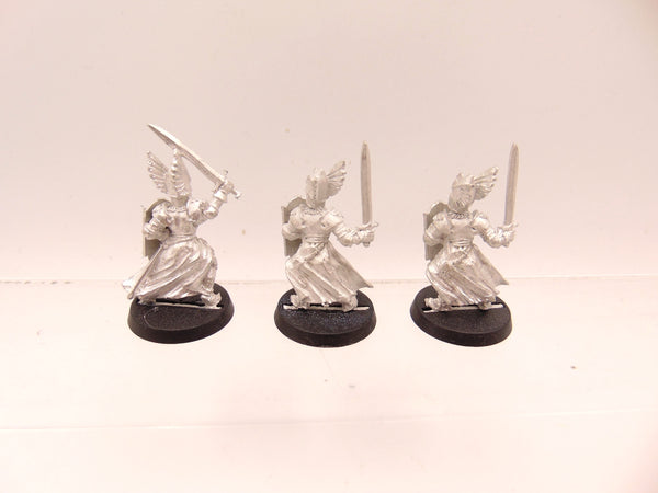 Swan Knights of Dol Amroth