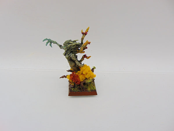 Branchwraith Drycha