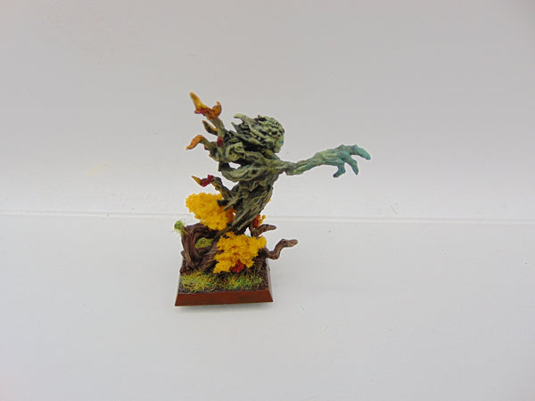 Branchwraith Drycha