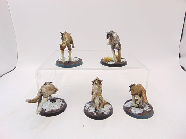 Fenrisian Wolves