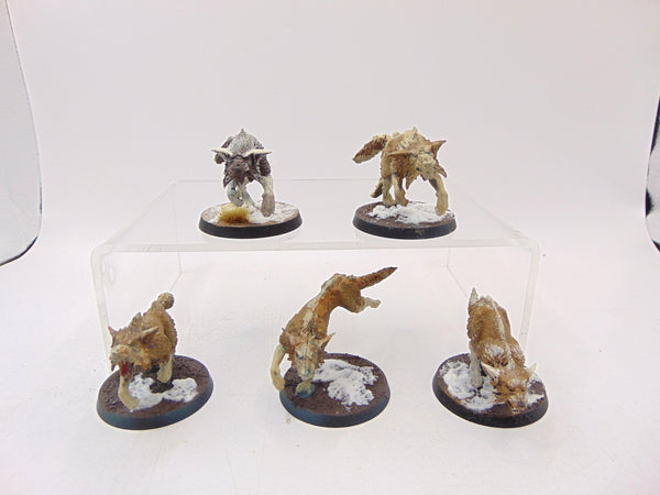 Fenrisian Wolves