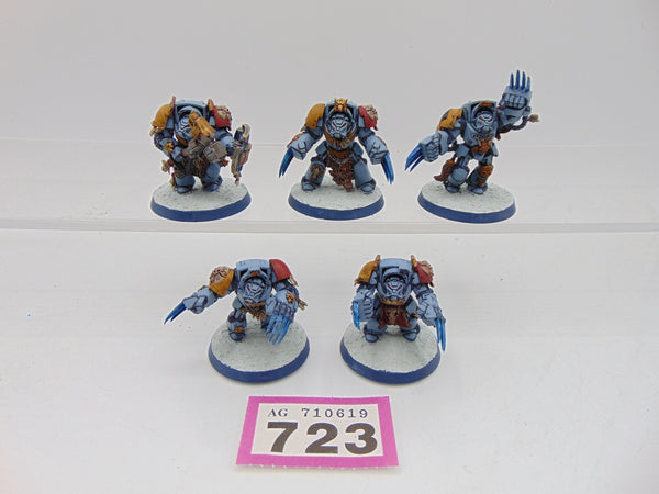 Wolf Guard Terminators