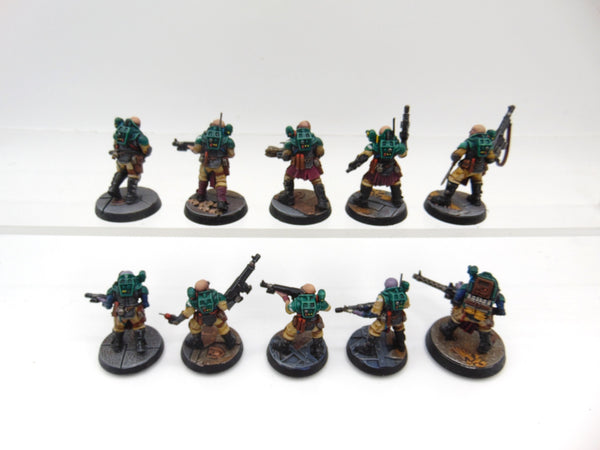 Neophyte Hybrids