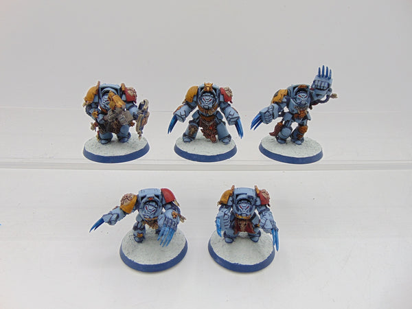 Wolf Guard Terminators