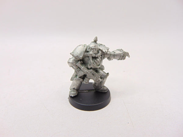 Chaos Plague Marine Champion