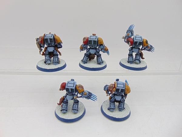 Wolf Guard Terminators