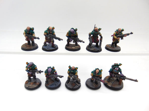 Neophyte Hybrids