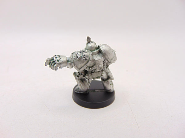 Chaos Plague Marine Champion