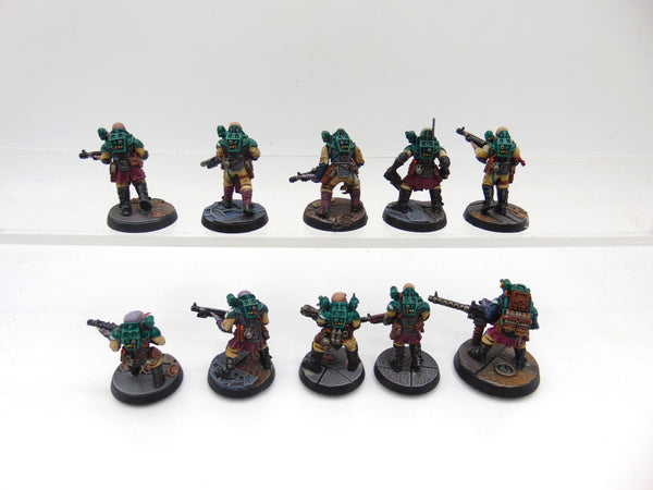 Neophyte Hybrids