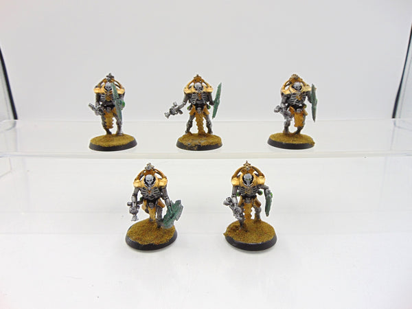 Triarch Praetorians