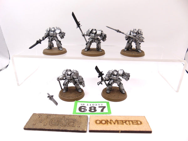 Brotherhood Terminator Squad