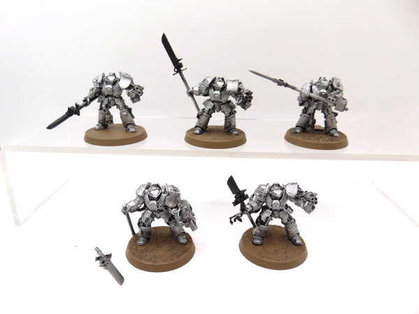 Brotherhood Terminator Squad