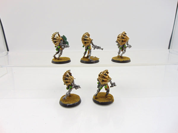 Triarch Praetorians