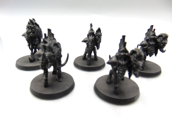 Barbgaunts