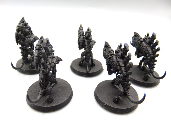 Barbgaunts