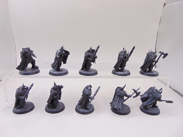 Chaos Warriors