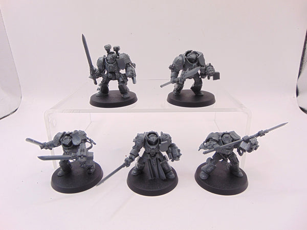 Brotherhood Terminator Squad