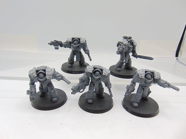 Cataphractii Terminator Squad