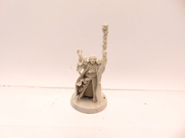 Elven Stormcaller