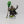 Imotekh the Stormlord