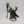 Imotekh the Stormlord